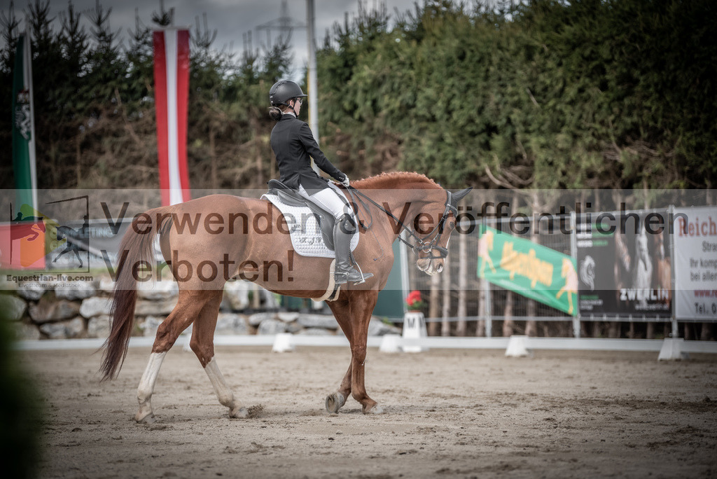 DSC_3244 | equestrian-live-com