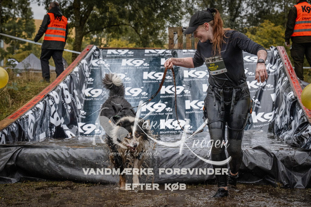 1148_ZZ93595 | kk-dogfotos