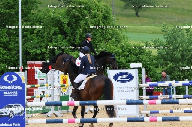 OHT2411 | Fotografie, Tiere, Hunde, Katzen, Pferde, Sportfotografie, Fotosession, Tierfotografie, Turnierfotografie, Fotografin, Fotograf - Realisiert mit Pictrs.com