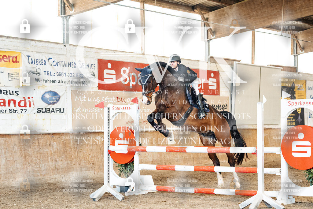 CK905215 | Turnierfotografie Pferdefotografie Trier Rheinland-Pfalz Pferdesport Reitsport Tierfotografie Sportfotografie Pferdevideo Pferdevideografie Equestrianvideography equestrianphotography  - Realisiert mit Pictrs.com
