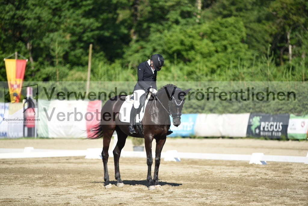 DSC_7074 | equestrian-live-com
