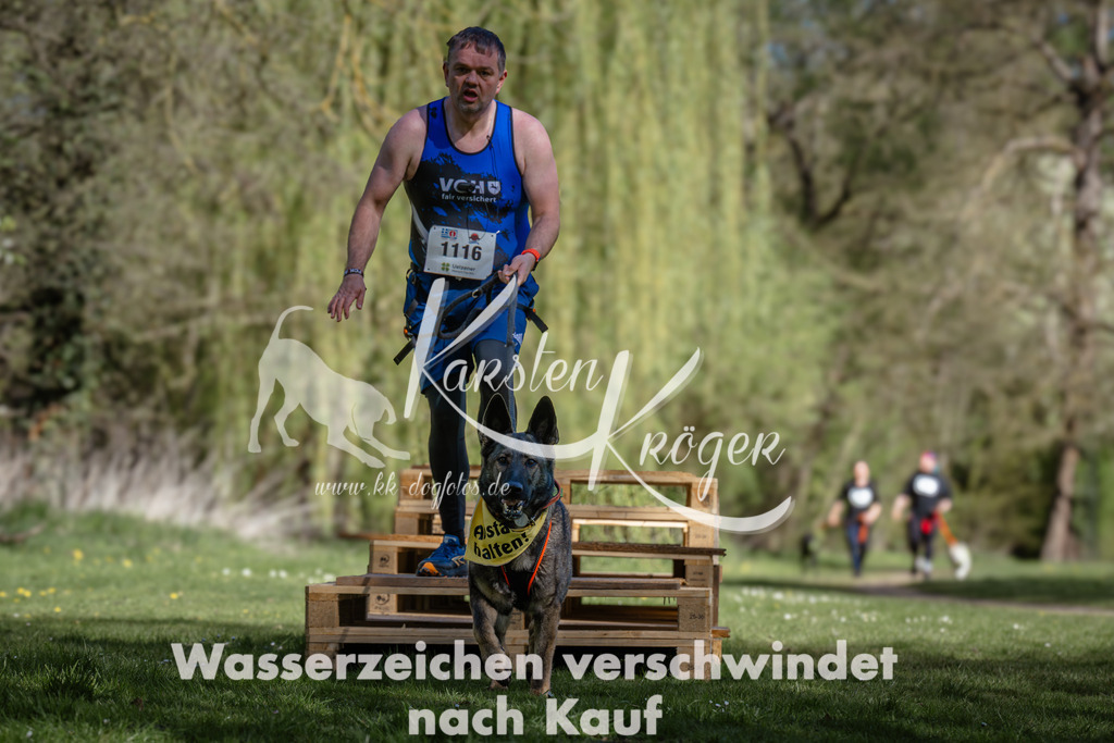 1026_ZZ95083 | kk-dogfotos