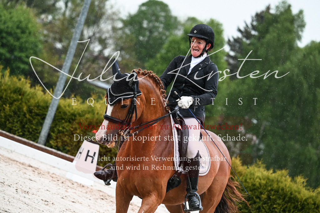 DSC_4471 | Pferde- und Turnierfotografie in Westsachsen. Pferdeportraits, Auftragszeichnungen und intuitive Kunst.