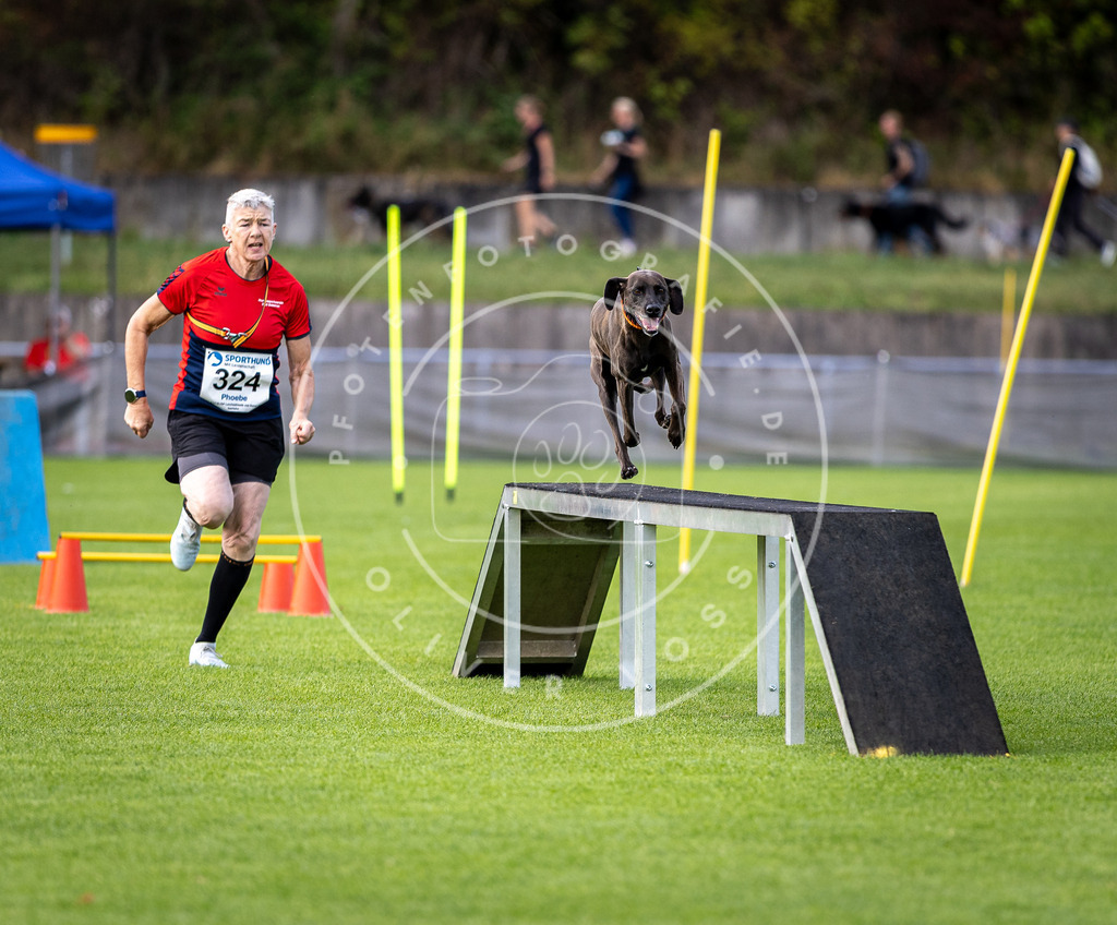 Pfotenfotografie_DV3A3142 | Hundefotografie, Tierfotograf, Pfotenfotografie, Fotoshooting Hund, Hunde Portrait, Hundesport, Hundeportraits, Heideshooting, Hunde, Sportfotograf, Hundefotograf, Turnierhundsport, THS,  - Realisiert mit Pictrs.com