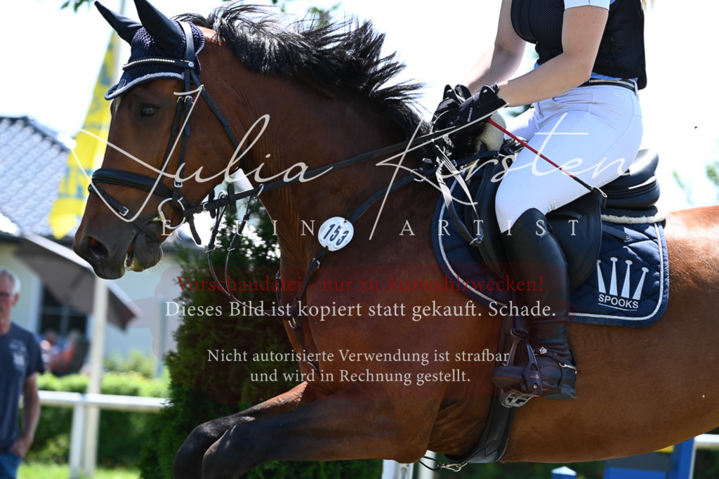 DSC_0674 | Pferde- und Turnierfotografie in Westsachsen. Pferdeportraits, Auftragszeichnungen und intuitive Kunst.