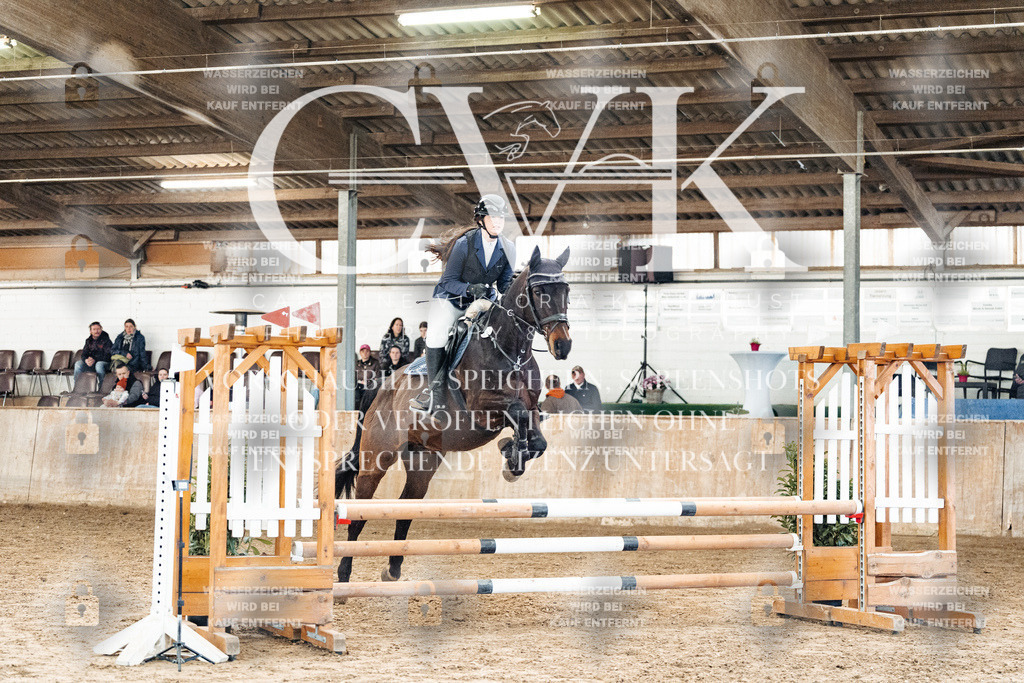 CK904253 | Turnierfotografie Pferdefotografie Trier Rheinland-Pfalz Pferdesport Reitsport Tierfotografie Sportfotografie Pferdevideo Pferdevideografie Equestrianvideography equestrianphotography  - Realized with Pictrs.com