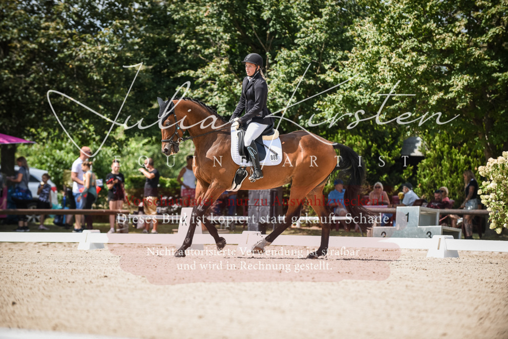 DSC_9025 | Pferde- und Turnierfotografie in Westsachsen. Pferdeportraits, Auftragszeichnungen und intuitive Kunst.