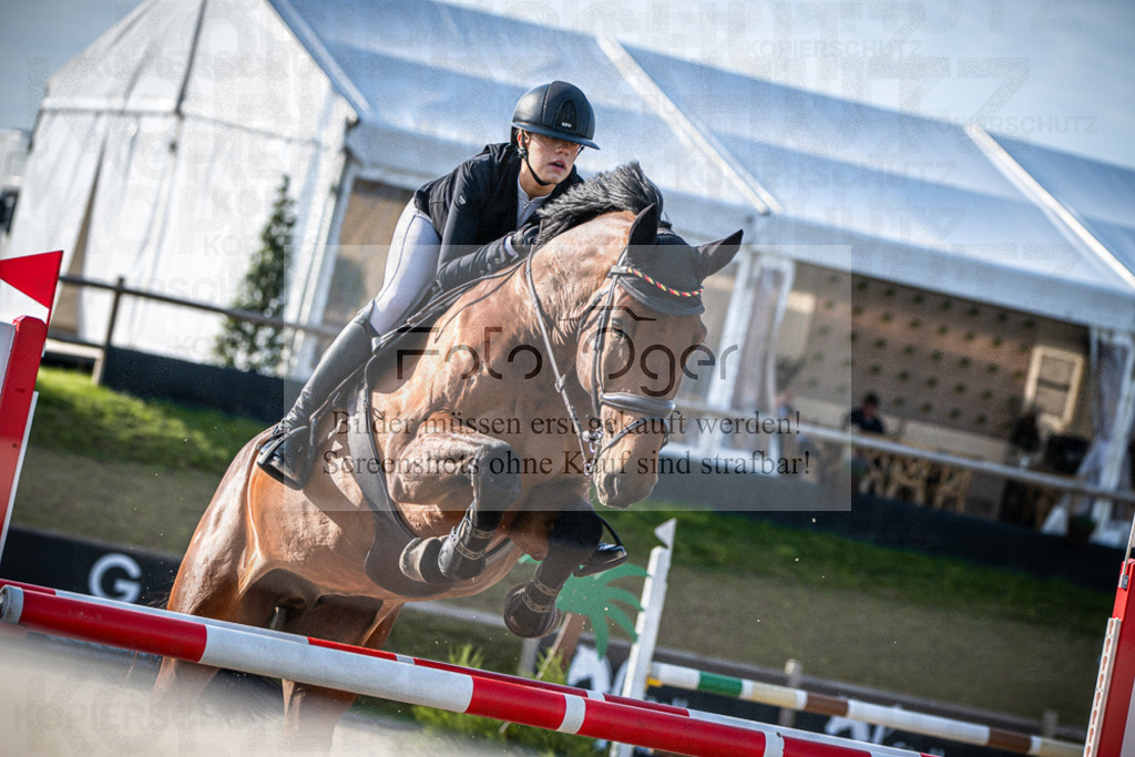 DOS_4851 | Entdecke hochwertige Reitturnierfotos von Foto Oger. Professionell, emotional und authentisch – jetzt Lieblingsmomente im Shop bestellen.Deutschlandweite Turnierfotografie. - Realisiert mit Pictrs.com
