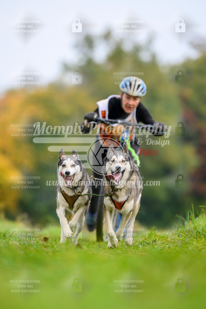 MompixPhotography_CDLBDB2025_DI_DS-20 | PayLife