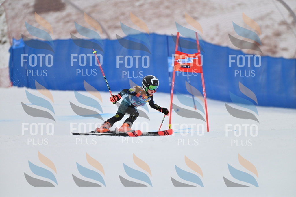 BGV_0196 | holidayphoto