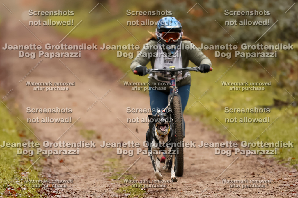 Dog Paparazzi - Speedhunter Mannheim  2025-108 | Dog Paparazzi Jeanette Grottendiek Fotografie & Videografie