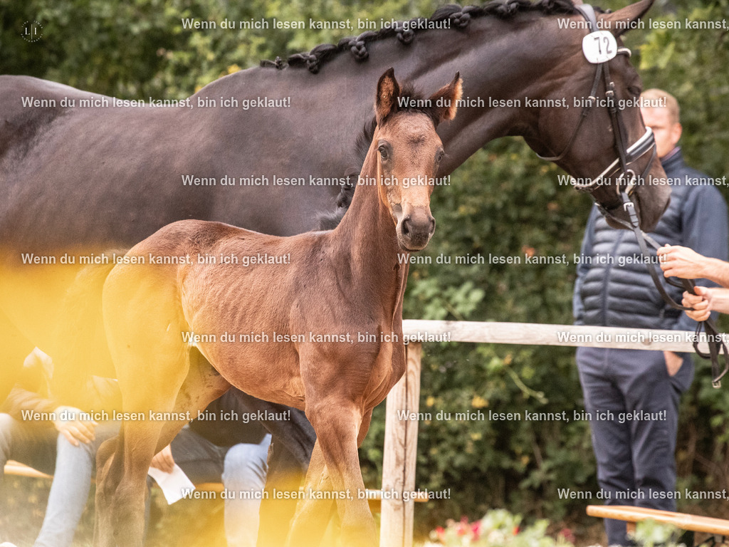 A10I6025 | photographylinaismer - Realisiert mit Pictrs.com