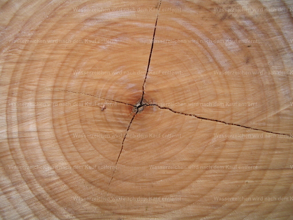 Baumstumpf | Abgesägter Baum mit Lebenslinien - Realisiert mit Pictrs.com