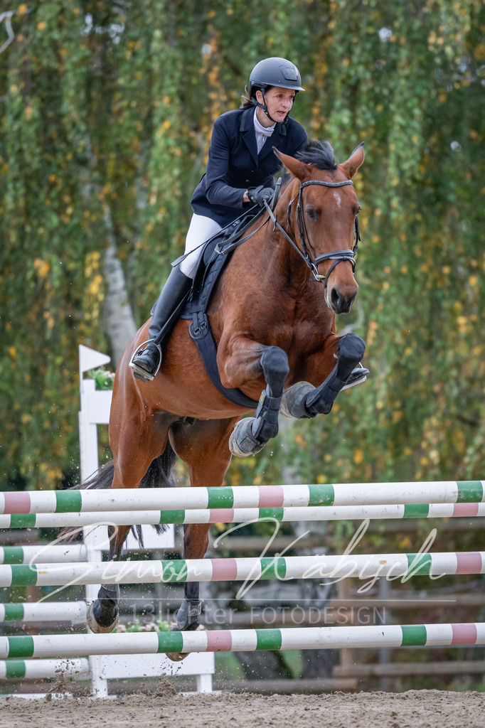 20251012-_3LI4482 | Tierfotografie Pferde, Hunde, Katzen, Haustiere.
Turnierfotografie Reitturniere, Reiten, Springreiten, Dressur in Hanau, dem Main-Kinzig-Kreis und dem Rhein-Main- Gebiet um Frankfurt