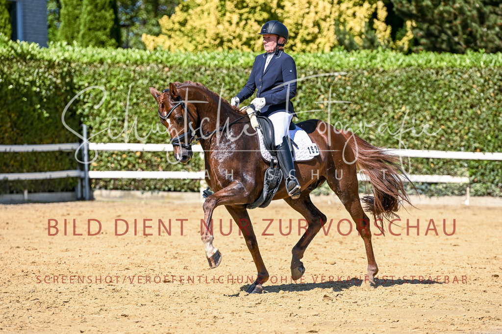 Schugtsche-Aluta25-50.Dressurpferdeprf.L-87 | Schugtsche Fotografie - Realisiert mit Pictrs.com