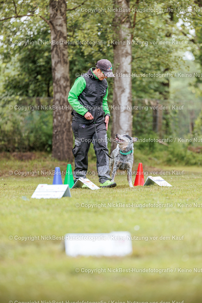 RO-Blumenthal-2026-Nickbest-Hundefotografie-5328 | Dein Hund! Dein Moment! Deine Erinnerungen! Hundefotografie in Bremen Blumenthal. Ich fange die besonderen Momente deines Vierbeiners ein – ob Indoor mit Blitzanlage oder in der freien Natur. Sicher dir dein Moment und dein Termin für eure Erinnerungen.
