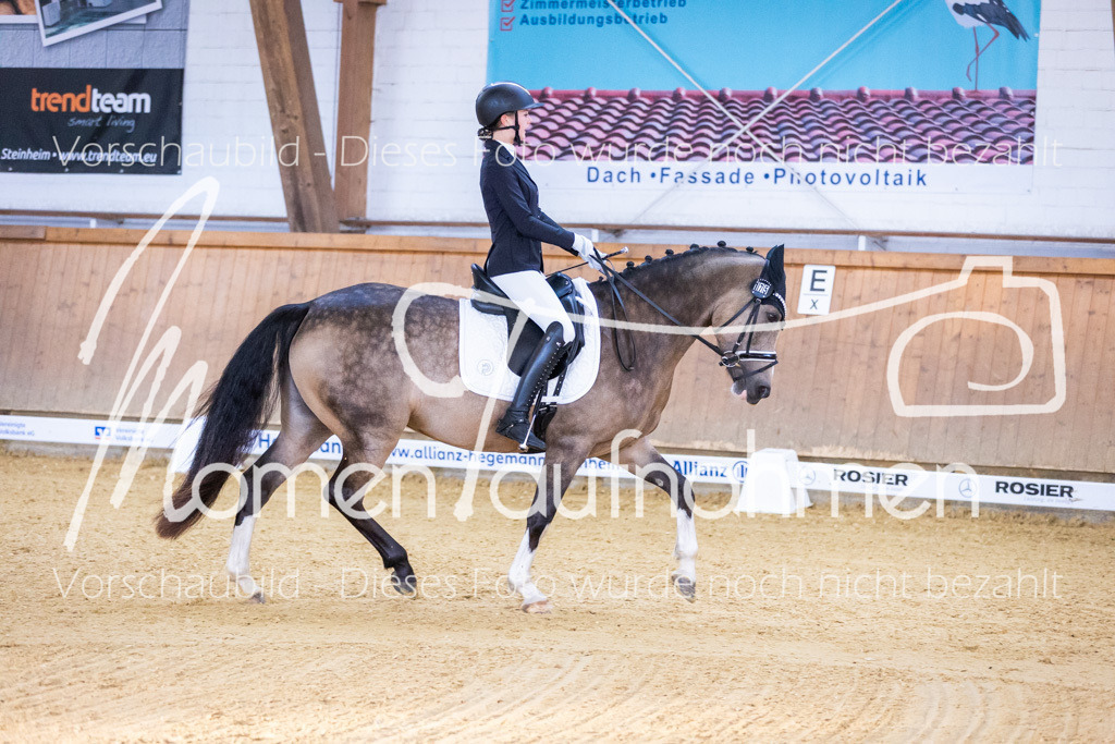 Sth-A-Dre-1St-055 | MomenTaufnahmen Pferdesportfotos