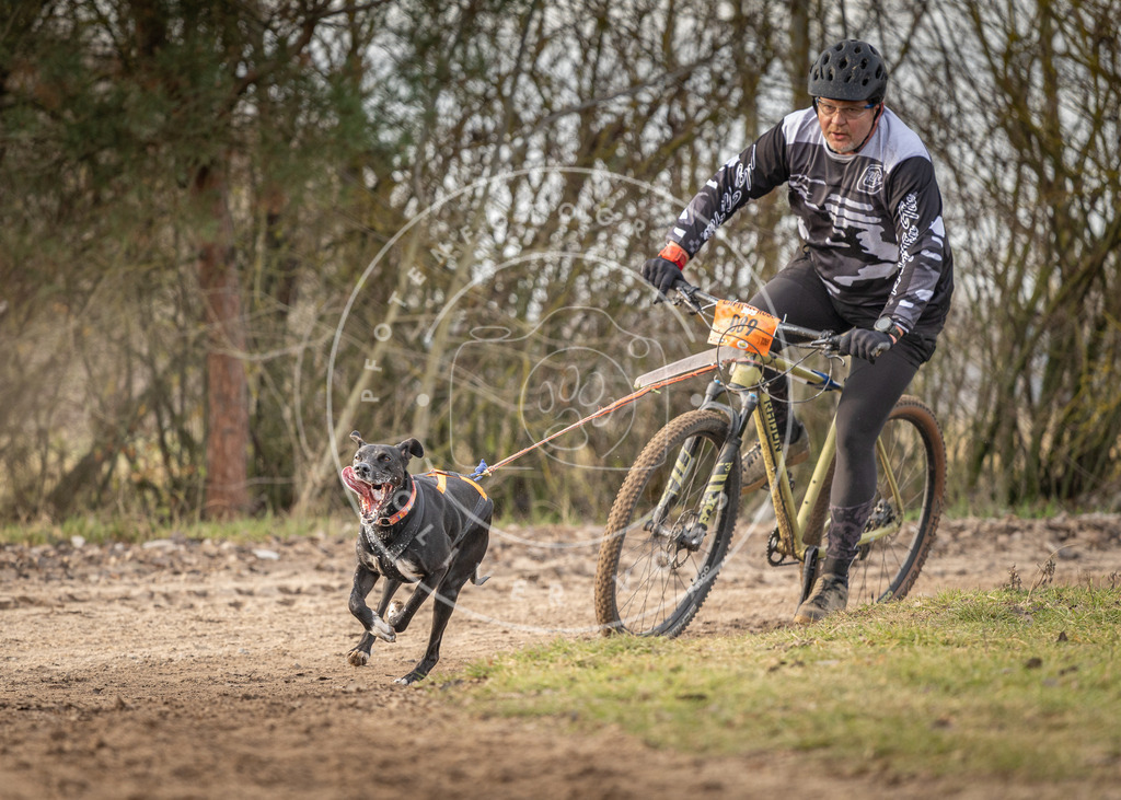 Pfotenfotografie_DV3A8150 | Hundefotografie, Tierfotograf, Pfotenfotografie, Fotoshooting Hund, Hunde Portrait, Hundesport, Hundeportraits, Heideshooting, Hunde, Sportfotograf, Hundefotograf, Turnierhundsport, THS,  - Realisiert mit Pictrs.com