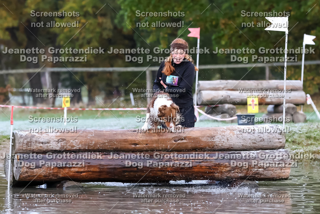 Dog Paparazzi - Strongdog 10-25-6159 | Dog Paparazzi Jeanette Grottendiek Fotografie & Videografie - Realisiert mit Pictrs.com