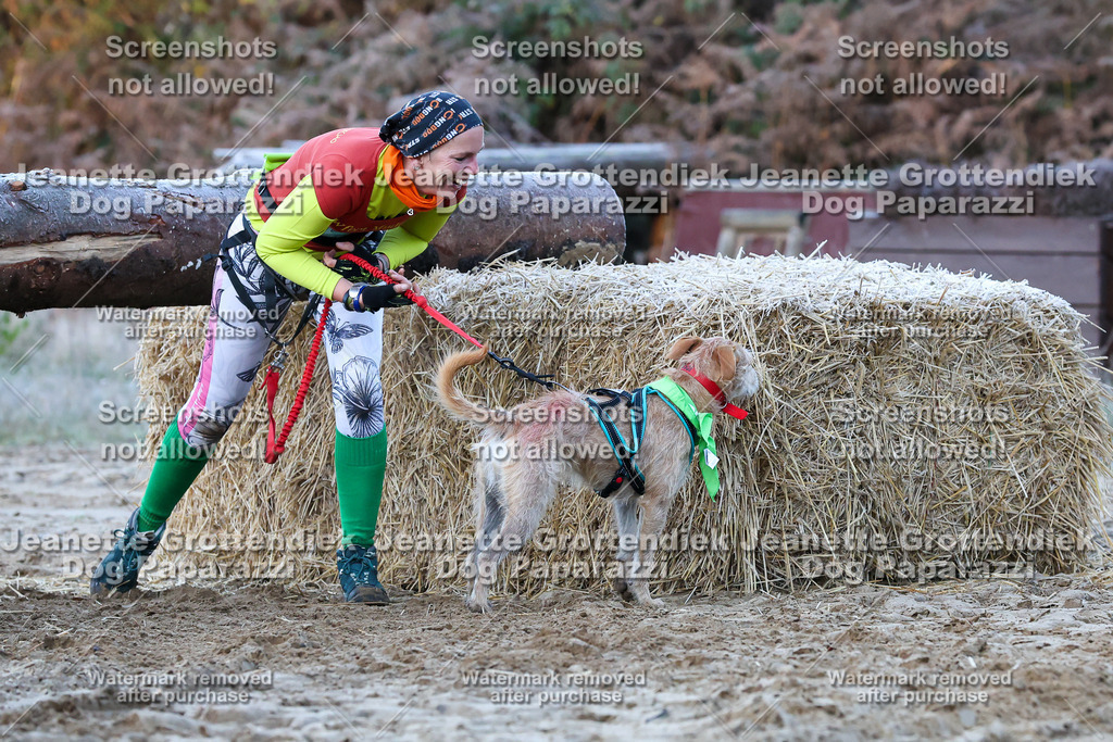 Dog Paparazzi - Strongdog 10-25-242 | Dog Paparazzi Jeanette Grottendiek Fotografie & Videografie - Realisiert mit Pictrs.com
