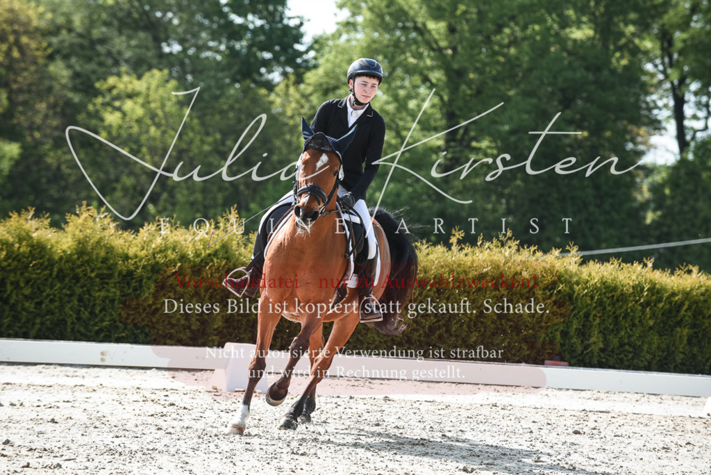 20230518_JK-Röhrsdorf-09-1459 | Pferde- und Turnierfotografie in Westsachsen. Pferdeportraits, Auftragszeichnungen und intuitive Kunst.
