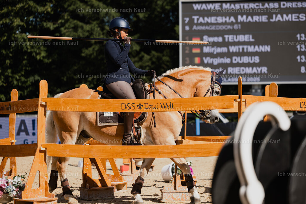 Tanesha5FHC2025-27414 | working equitationturnier fotograf videograf stoibphotography marixx film working equitation deutschland reitsport turnierfotografie eventfotografie equestrian events