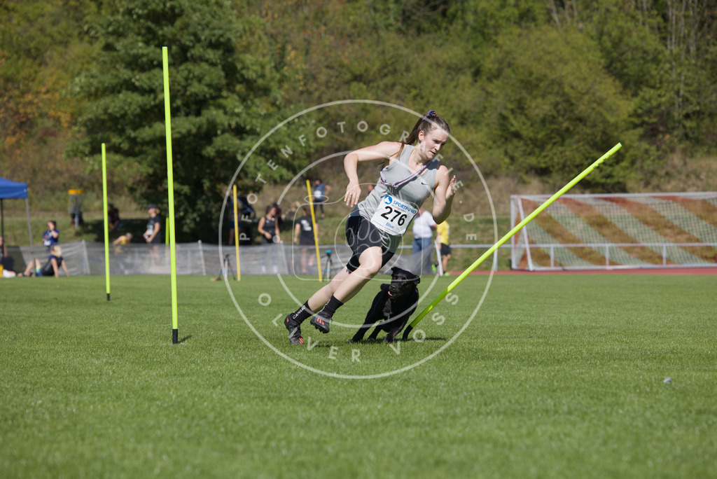 0L8A6754 | Hundefotografie, Tierfotograf, Pfotenfotografie, Fotoshooting Hund, Hunde Portrait, Hundesport, Hundeportraits, Heideshooting, Hunde, Sportfotograf, Hundefotograf, Turnierhundsport, THS,  - Realisiert mit Pictrs.com