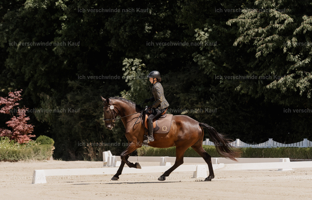 WE_DR_113_SinaFilmArt_IN02870 | working equitationturnier fotograf videograf stoibphotography marixx film working equitation deutschland reitsport turnierfotografie eventfotografie equestrian events