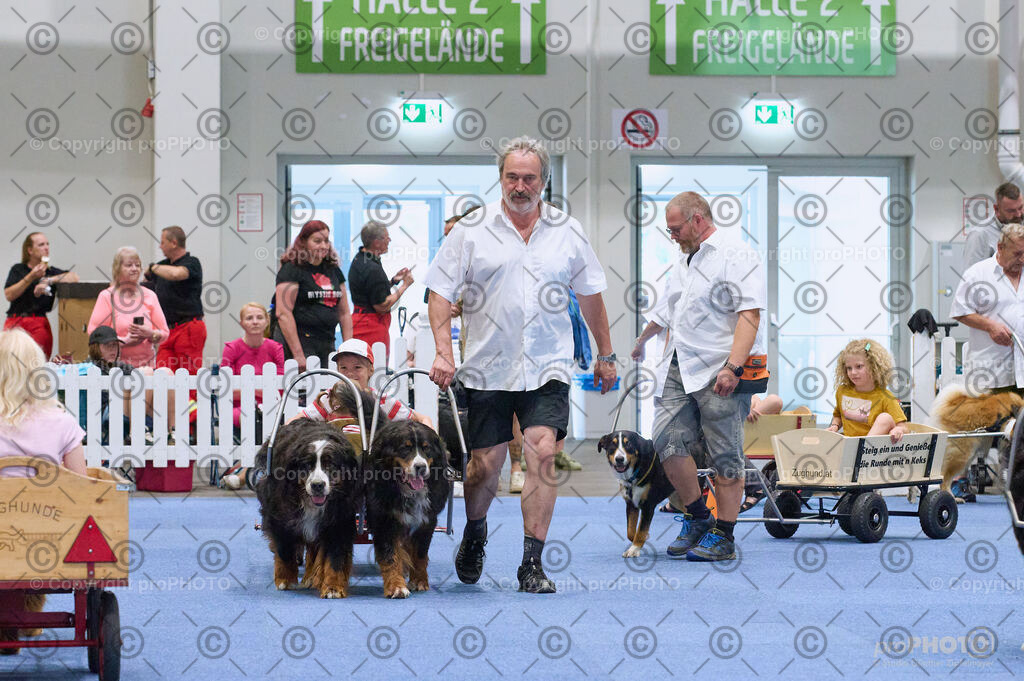 202406_ÖKV-IHA-Tulln24_DSC_4676 | proPHOTO - Realisiert mit Pictrs.com