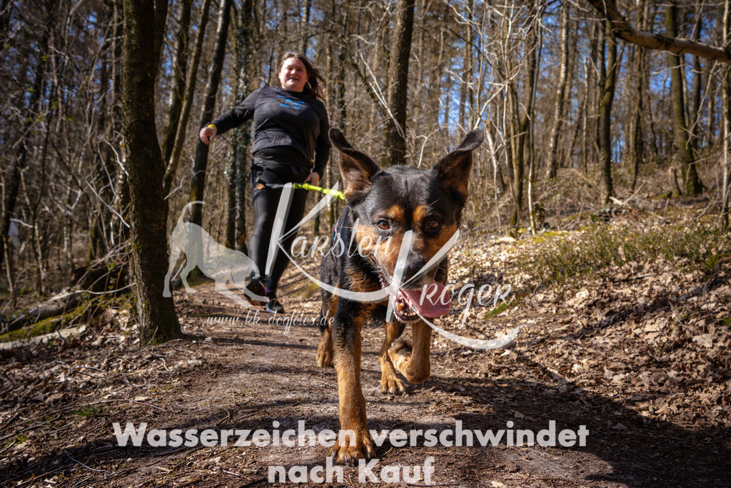 1131_ZZ98574 | kk-dogfotos