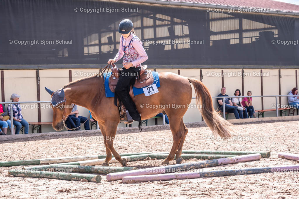 SBS00238 | BS-foto