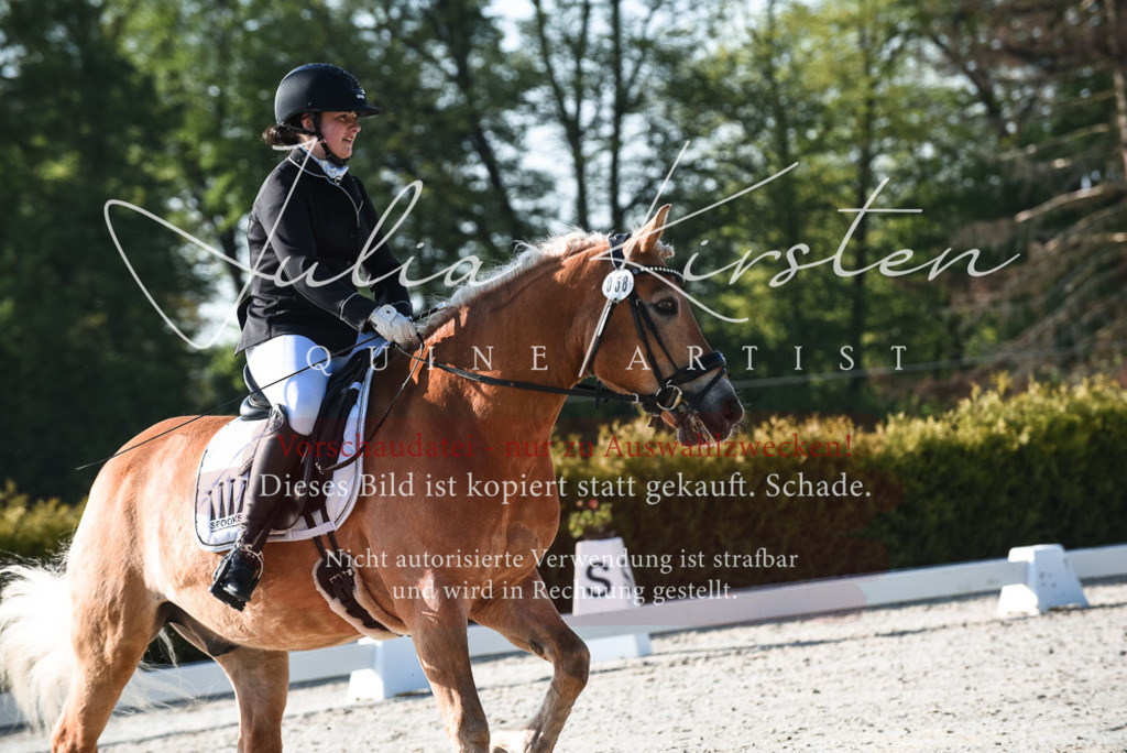 20230518_JK-Röhrsdorf-09-0344 | Pferde- und Turnierfotografie in Westsachsen. Pferdeportraits, Auftragszeichnungen und intuitive Kunst.