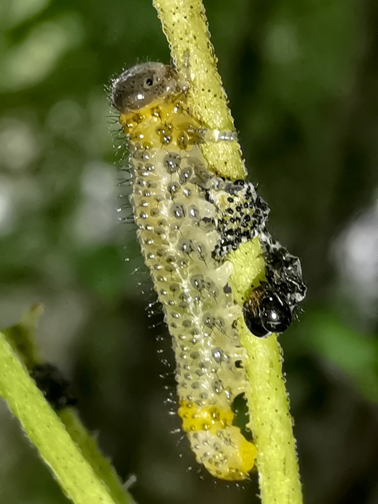 PSX_20230830_230005 | mtkfoto_ - Realisiert mit Pictrs.com