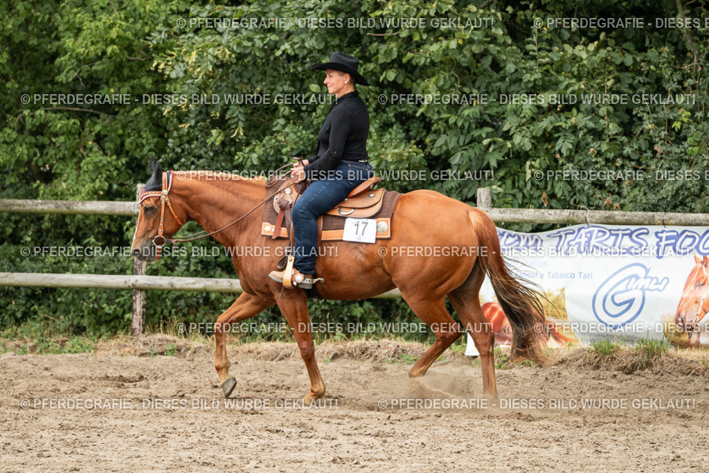 DSC03164 | Pferdegrafie