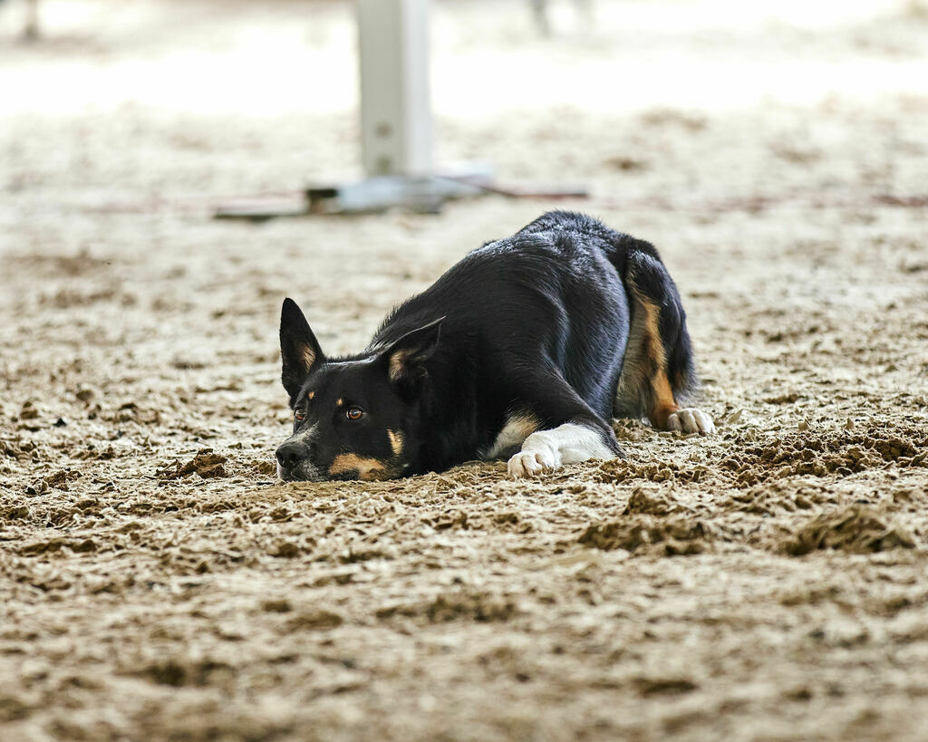 580A0127 | Peter Fridle Fotografie - Realisiert mit Pictrs.com