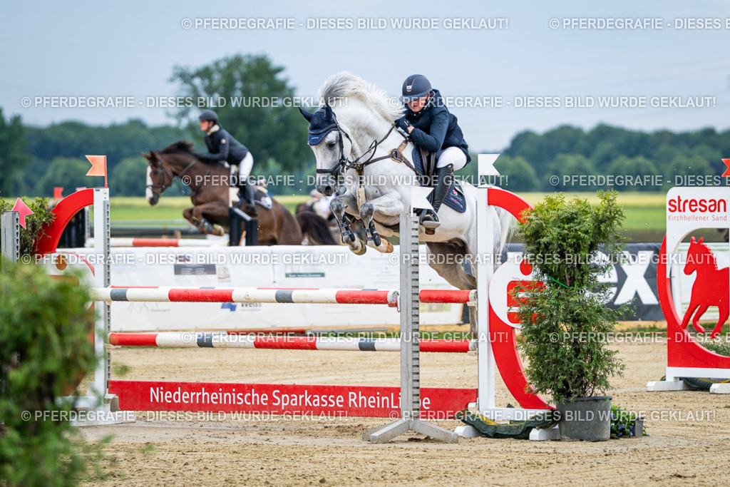 DSC04388 | Pferdegrafie