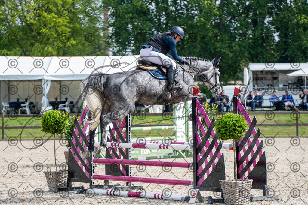 KPT_2482 | andre_photographic