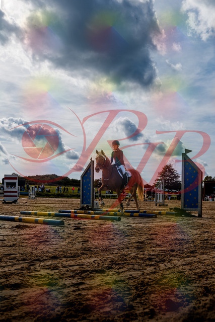 2026_10_03_Siefer-Hof_144546_Z63_05411907 | Professionelle Reitsport-, Turnier- und Eventfotografie von Robert Broda. Galerien mit ausgewählten und bearbeiteten Bildern direkt online ansehen und bestellen.