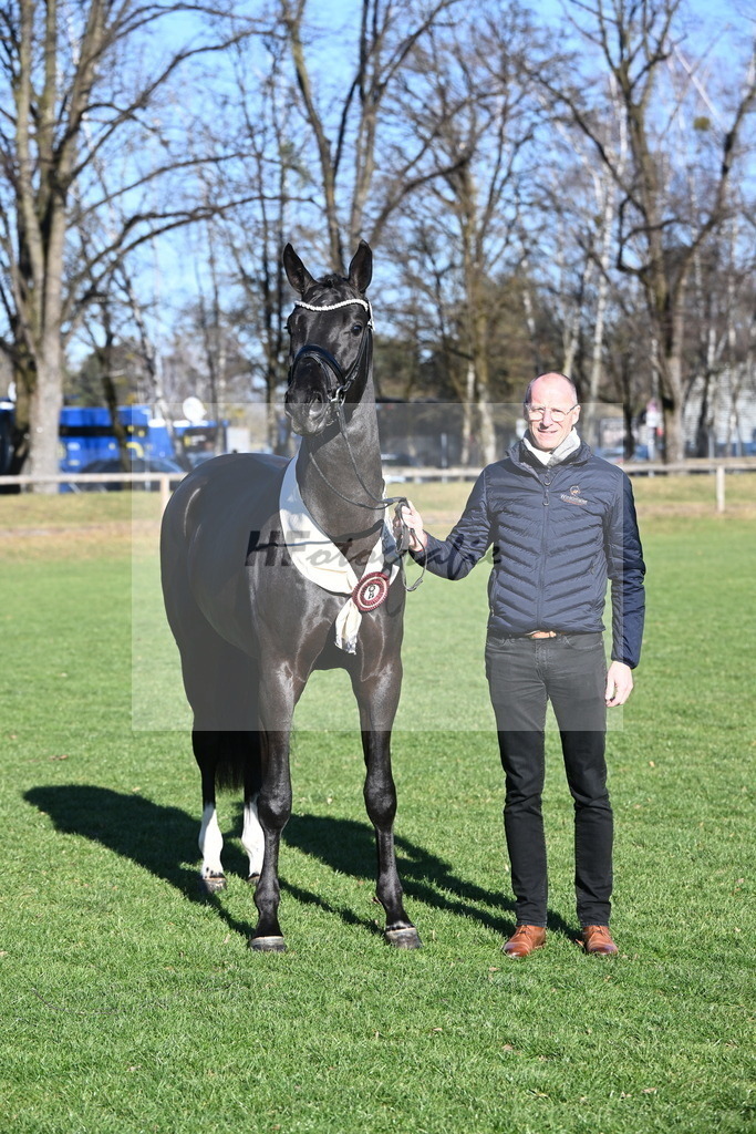 Kat.-Nr. 65 v. Springbank II VH_Reichert_2243416 | hf-fotografie - Realisiert mit Pictrs.com
