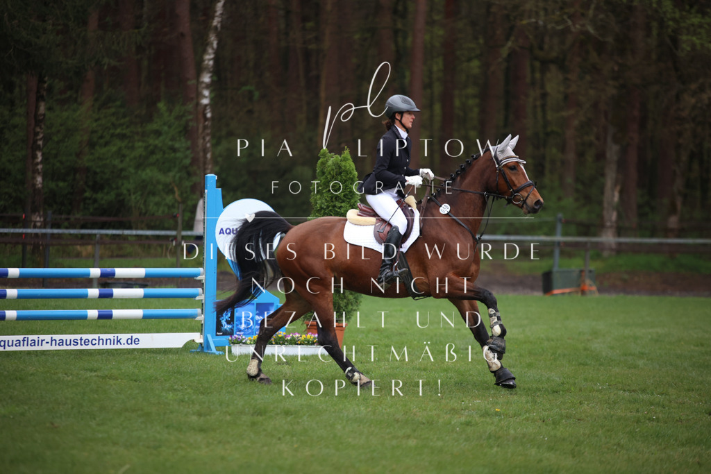 IMGT2599 | pl-fotografie