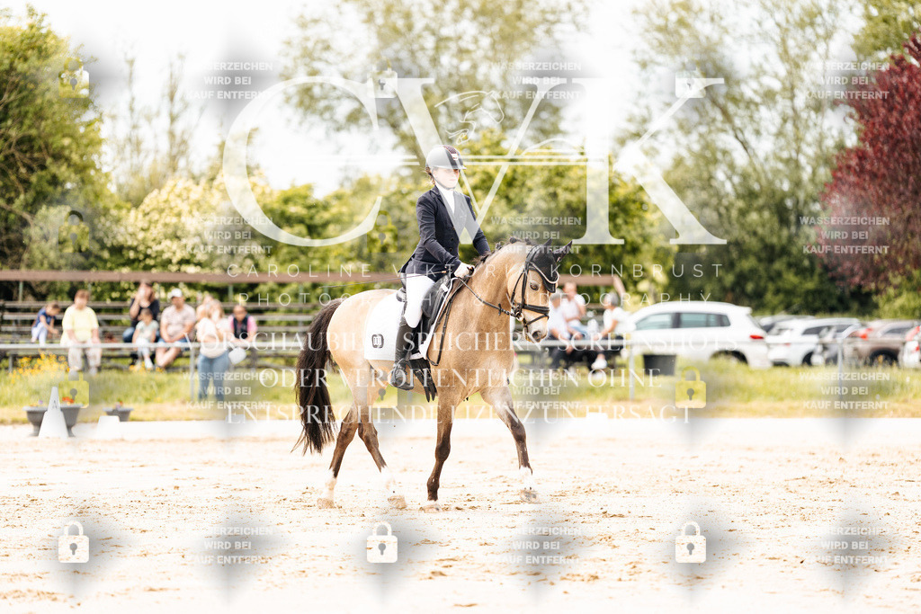 CK902790 | Turnierfotografie Pferdefotografie Trier Rheinland-Pfalz Pferdesport Reitsport Tierfotografie Sportfotografie Pferdevideo Pferdevideografie Equestrianvideography equestrianphotography  - Realisiert mit Pictrs.com