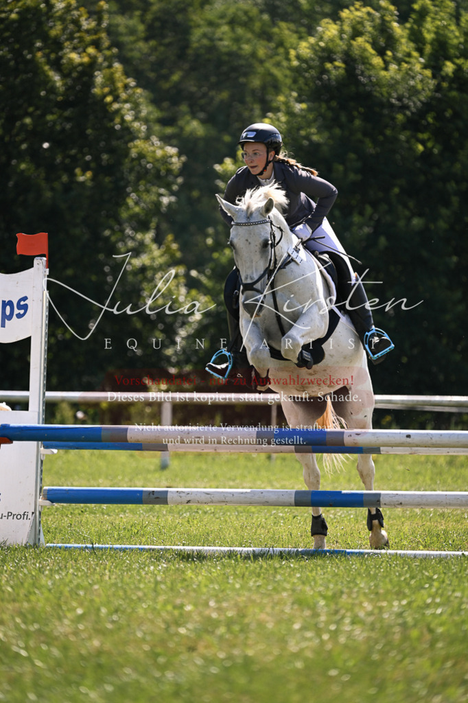 DSC_8886 | Pferde- und Turnierfotografie in Westsachsen. Pferdeportraits, Auftragszeichnungen und intuitive Kunst.