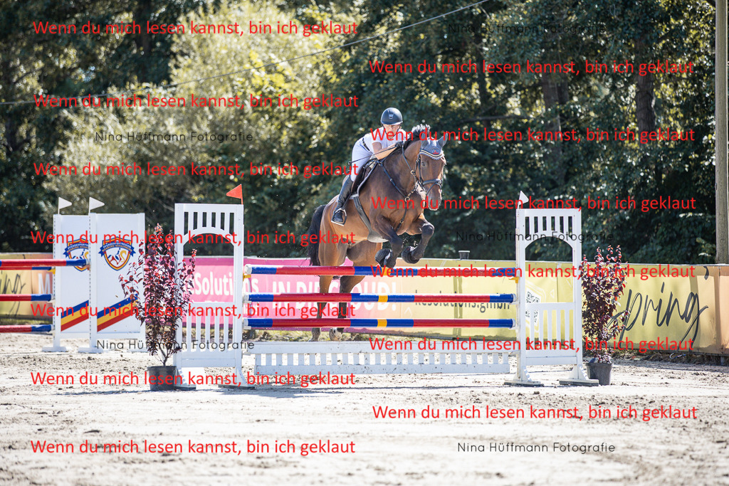 BK1A6763 | Turnierbilder Turnierfotos Nina Hüffmann Turnierfotografie Pferdefotografie Tierzeichnung Haustierzeichnung Pferdezeichnung Hundezeichnung Videograf  - Realisiert mit Pictrs.com
