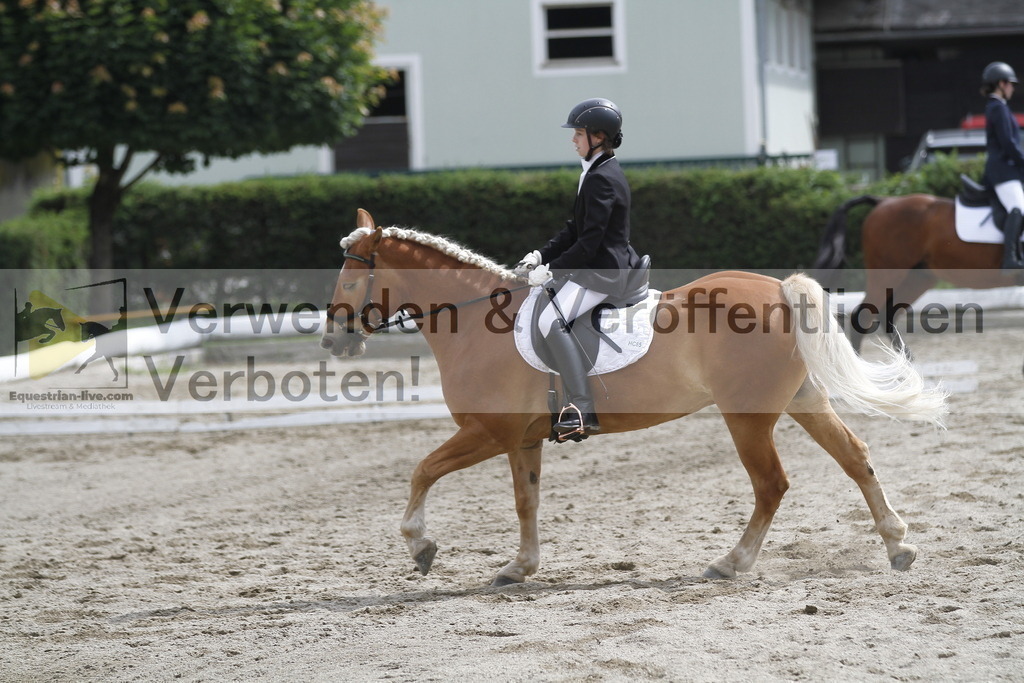 _MG_1115 | equestrian-live-com