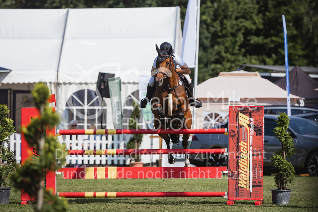 240720_LC_M2-Spr-433 | Deine schönsten Turniermomente als professionelle Fotos! Entdecke hochwertige Pferdesport-Fotografie im Online-Shop. Jetzt Fotos finden & bestellen!