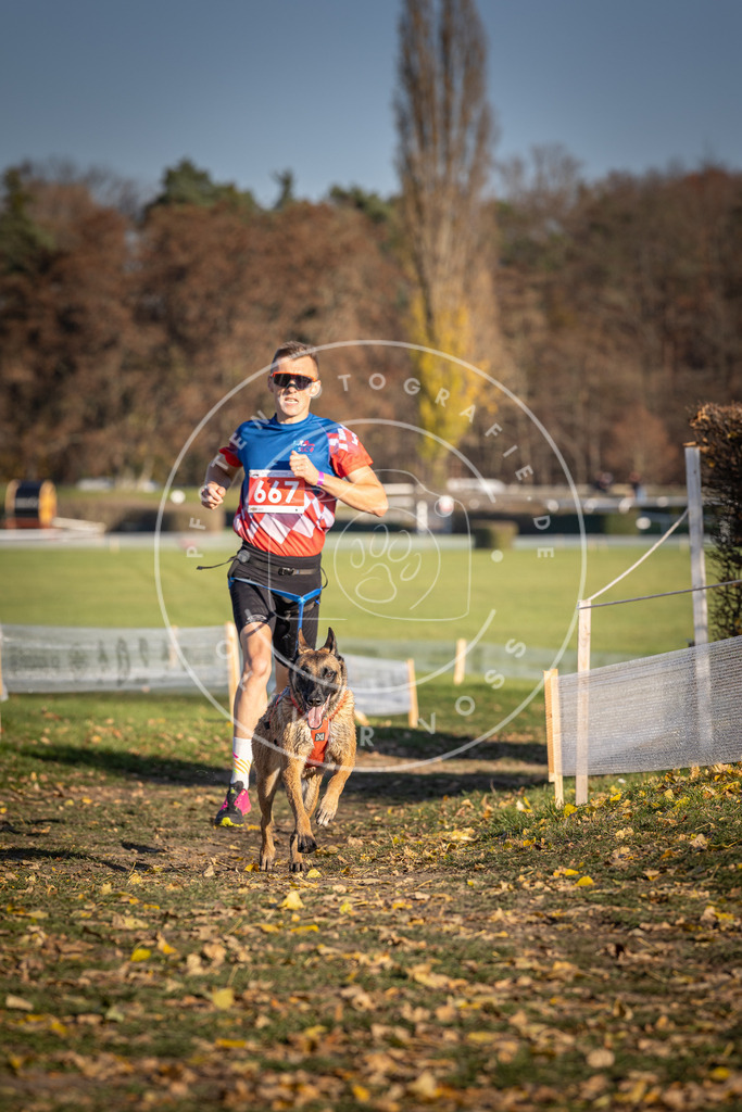 CaniXpix_DV3A0801 | Hundefotografie, Tierfotograf, Pfotenfotografie, Fotoshooting Hund, Hunde Portrait, Hundesport, Hundeportraits, Heideshooting, Hunde, Sportfotograf, Hundefotograf, Turnierhundsport, THS,  - Realisiert mit Pictrs.com