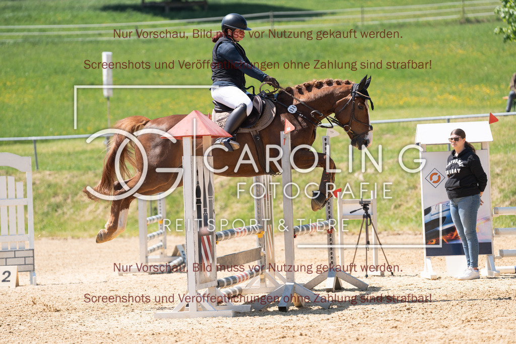 DSC04418 | Springturnier_Ehingen_Mai_2026, Sarah_Schatz, Baccaccios_B