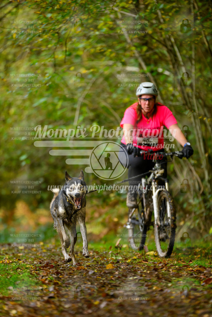 MompixPhotography_20TSB_E1_Bike-61 | PayLife