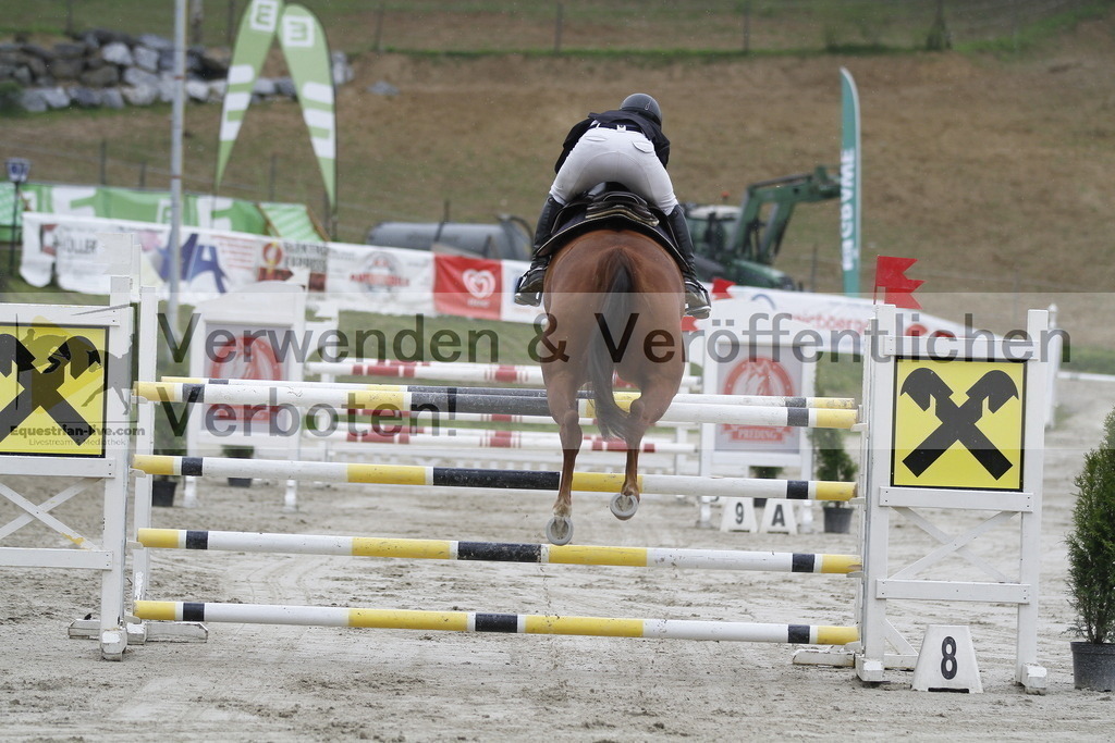_MG_3343 | equestrian-live-com