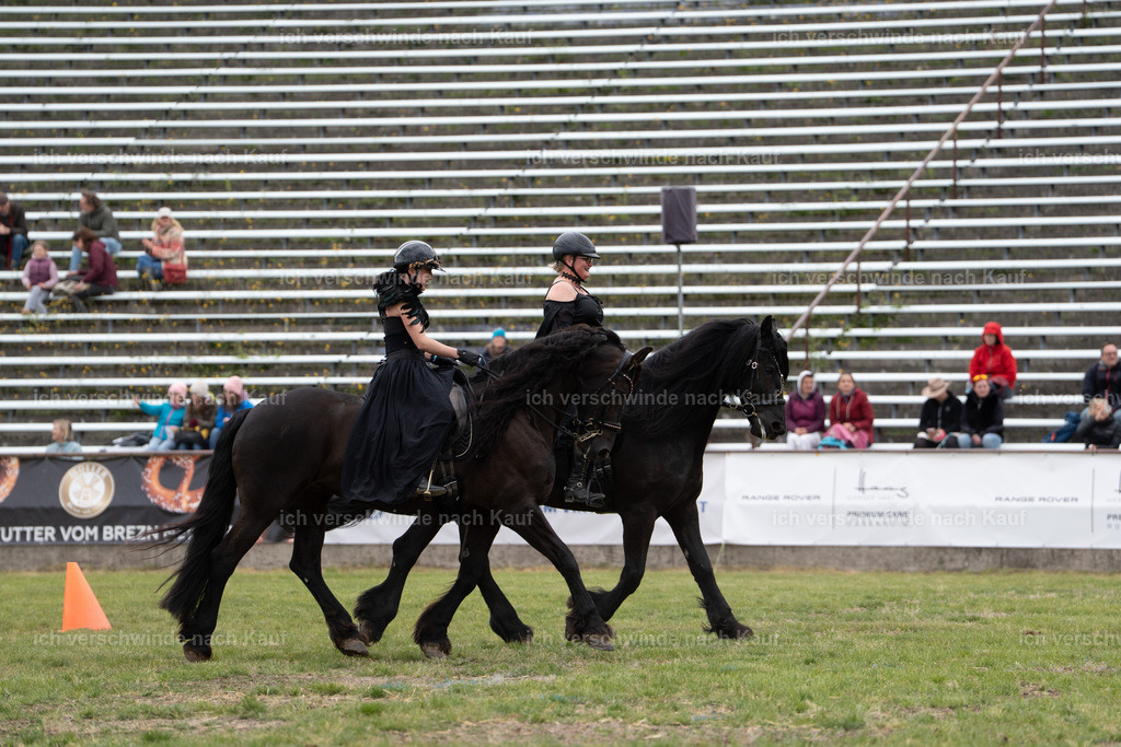 PI26_show_Jan_Picutures7C_06484.jpg | working equitationturnier fotograf videograf stoibphotography marixx film working equitation deutschland reitsport turnierfotografie eventfotografie equestrian events